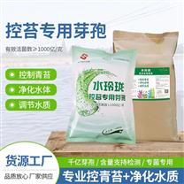 批发水产养殖枯草芽孢杆菌控青苔净化水质融水水产专用千亿含现货